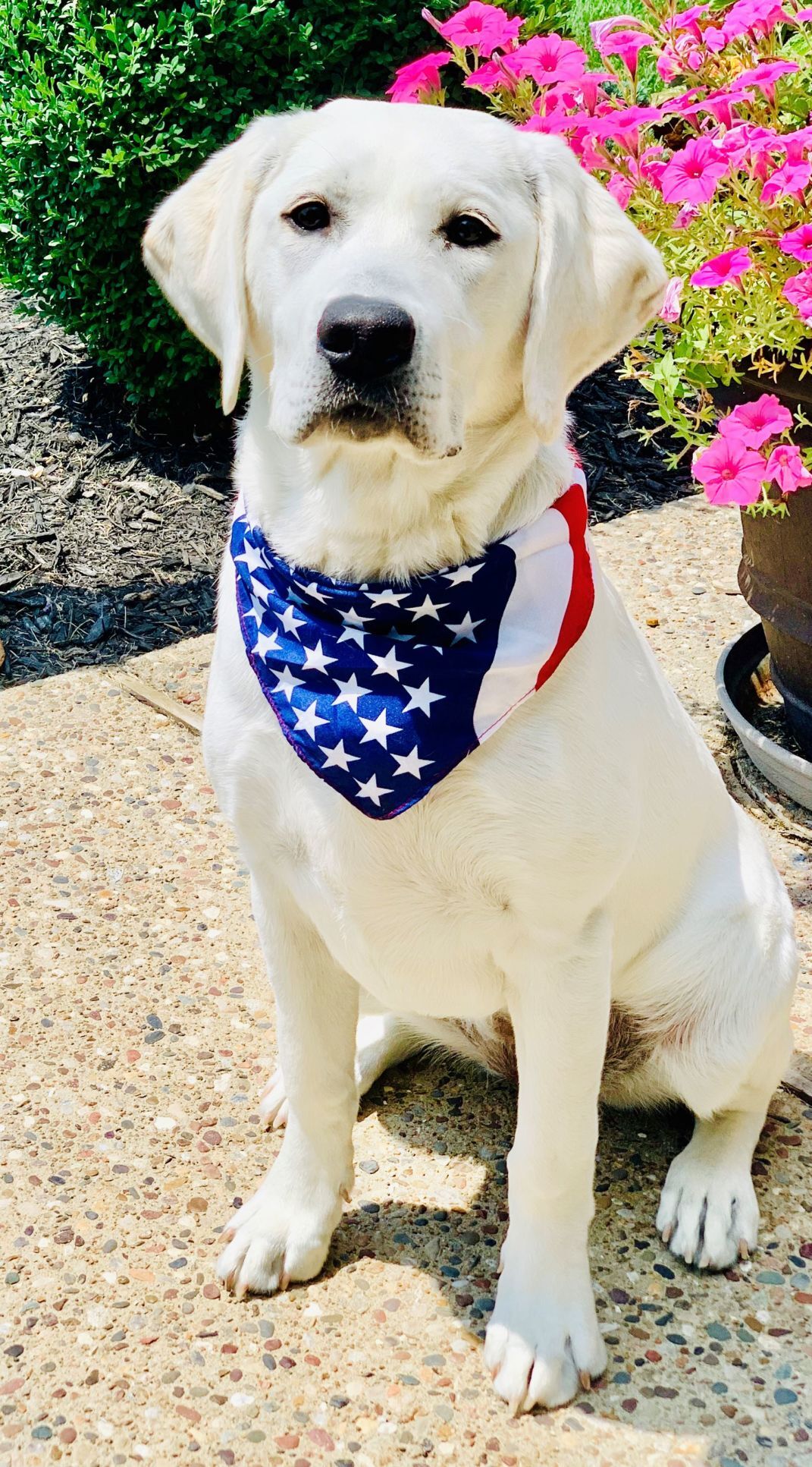 Navy Grace